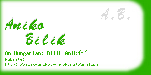 aniko bilik business card